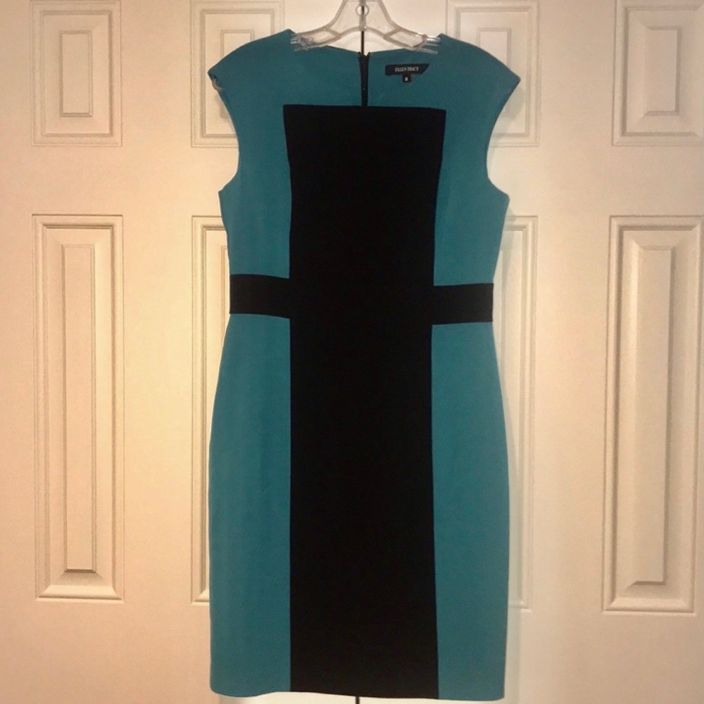 Ellen Tracy Dress
